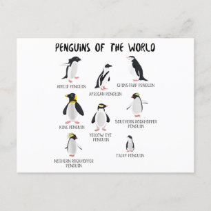 8 Rarest pinguïns in de wereld - grappige dieren Aankondigingskaart
