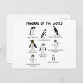 8 Rarest pinguïns in de wereld - grappige dieren Aankondigingskaart (Voorkant / Achterkant)
