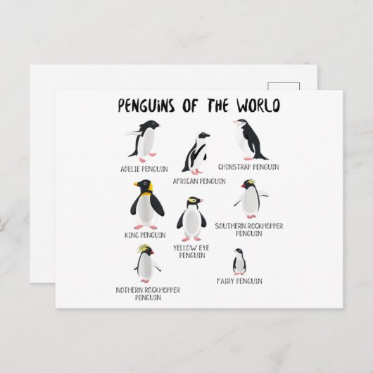 8 Rarest pinguïns in de wereld - grappige dieren Aankondigingskaart (Voorkant / Achterkant)