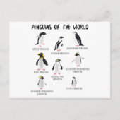 8 Rarest pinguïns in de wereld - grappige dieren Aankondigingskaart (Voorkant)