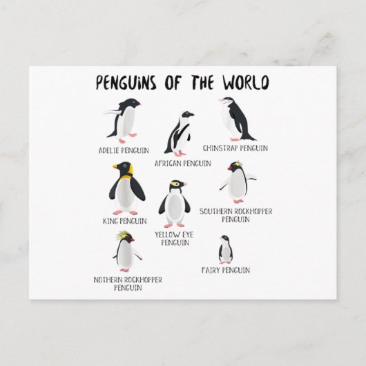 8 Rarest pinguïns in de wereld - grappige dieren Aankondigingskaart (Voorkant)