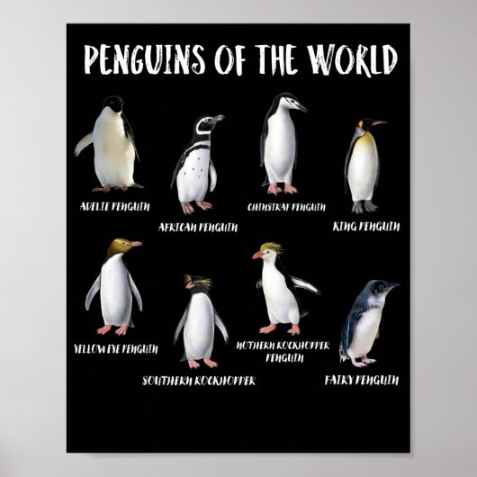 8 Rijnste pinguïns van de Wereldgrappige dieren Poster (Voorkant)