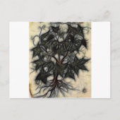 8 - Schaduw wijnstok versnelling Briefkaart (Voorkant)