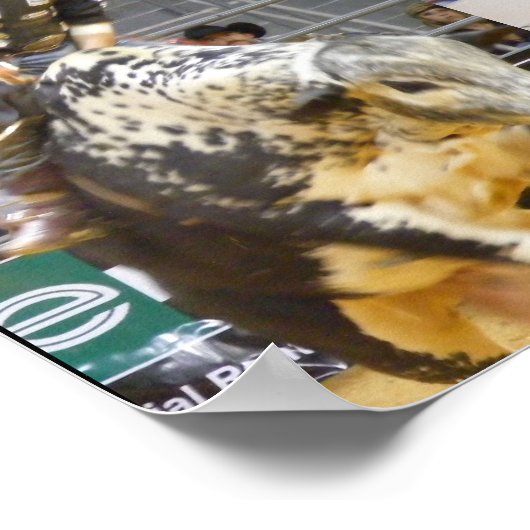 8 tweede juni poster (Hoek)