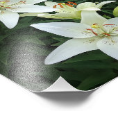 8 x10-inch witte gelilies foto afdruk (Hoek)