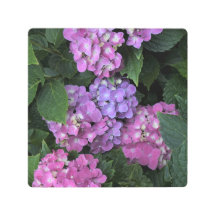 8"x8" Pink Hydrangea