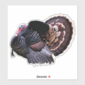8"x8" Wilde Turkije Sticker (Vel)