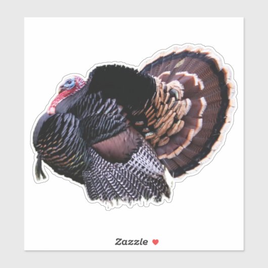 8"x8" Wilde Turkije Sticker (Vel)