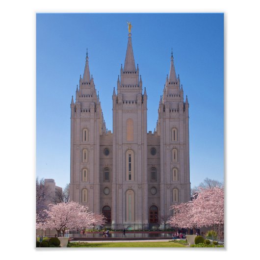 8 X 10 Salt Lake Temple met bomen in roze bloei. Foto Afdruk (Voorkant)