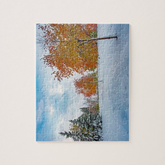 8x10, 110 stuks, puzzel legpuzzel (Verticaal)