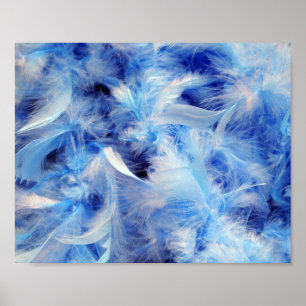 8x10 Fluffy Feathers Poster