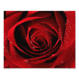 8x10 Fotoafdrukken Foto Afdruk