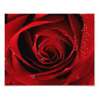 8x10 Fotoafdrukken Foto Afdruk