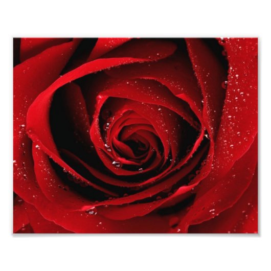 8x10 Fotoafdrukken Foto Afdruk (Voorkant)