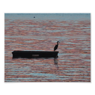 8x10 Great Blue Heron Silouhette Foto Afdruk