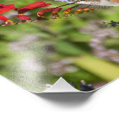 8x10 Hummingbird Lovers Delight Foto Afdruk (Hoek)