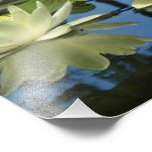 8x10 Mellow Yellow Foto Afdruk (Hoek)