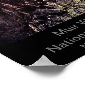 8x10 - Muir Bossen National Monument Color (Dark) Poster (Hoek)