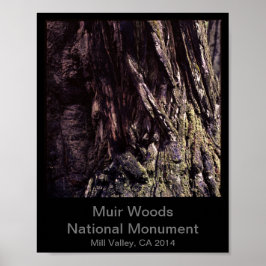 8x10 - Muir Bossen National Monument Color (Dark) Poster