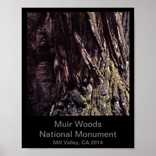 8x10 - Muir Bossen National Monument Color (Dark) Poster (Voorkant)