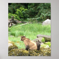8x10 Poster papier (Matte) met grizzly beer & krab