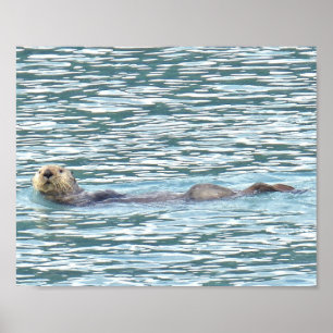8x10 Poster papier (Matte) van otter