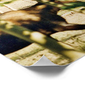 8x10 Poster papier (steen), van de soort gebruikt (Hoek)