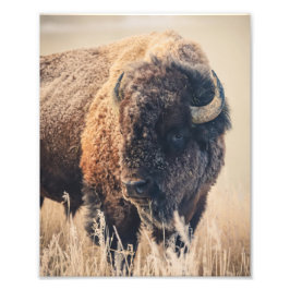 8x10 Print - Frosty Morning Foto Afdruk