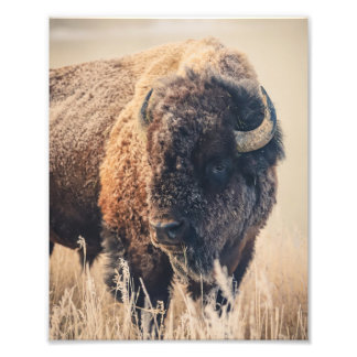 8x10 Print - Frosty Morning Foto Afdruk