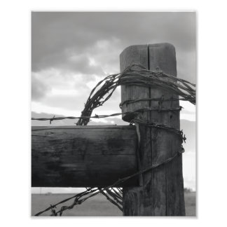 8x10 Print - Wood & the Wire Foto Afdruk