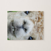 8X10 PUZZLE ALPACA LEGPUZZEL (Horizontaal)