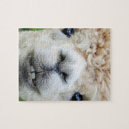 8X10 PUZZLE ALPACA LEGPUZZEL (Horizontaal)