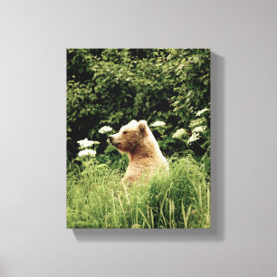 8x10 Stretched Canvas Afdrukken met grizzly-beer