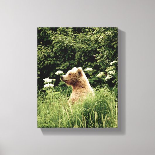 8x10 Stretched Canvas Afdrukken met grizzly-beer (Voorkant)