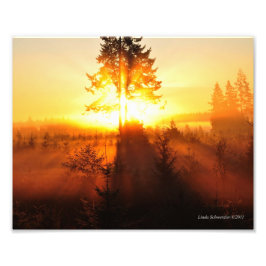 8x10 Sunrise Fog in de Pacific Northwest Foto Afdruk