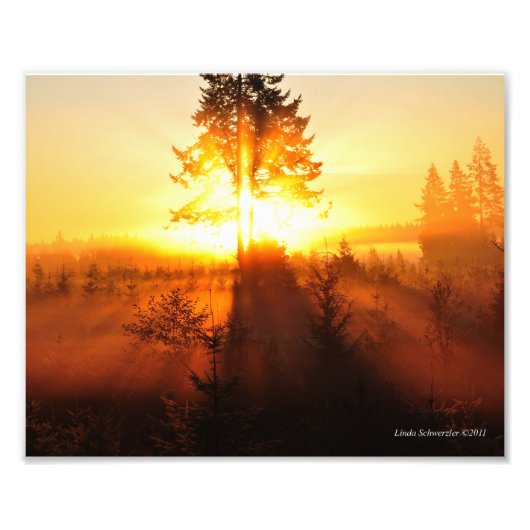 8x10 Sunrise Fog in de Pacific Northwest Foto Afdruk (Voorkant)
