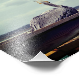 8x12 Foto - "Chillin' Pelican" St. Augustine, FL Afdruk