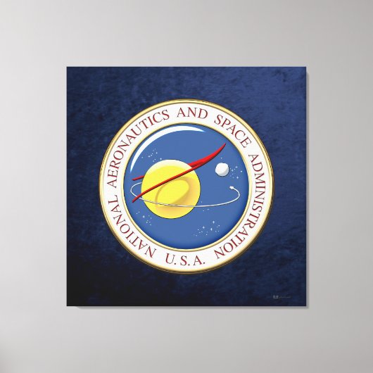 [900] NASA-embleem [3D] Canvas Afdruk (Voorkant)