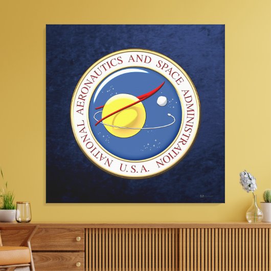 [900] NASA-embleem [3D] Canvas Afdruk (Insitu (Woonkamer))