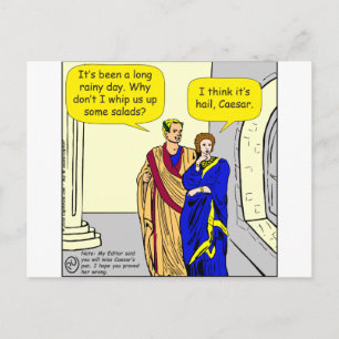 902 Caesar "Ik maak een salade" cartoon Briefkaart