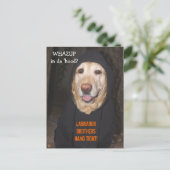 90 lb. Lab in Hoodie Briefkaart (Staand voorkant)