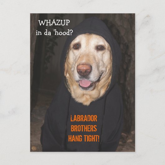 90 lb. Lab in Hoodie Briefkaart (Voorkant)