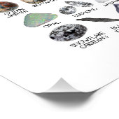 90 Rainbow Rocks Crystal Collectie Glossy Poster (Hoek)