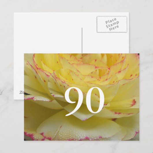 90e verjaardag briefkaart (Voorkant / Achterkant)