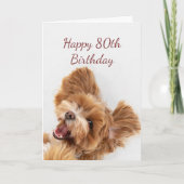 90e verjaardag Fun Start Cute Dog Puppy Pet Card Kaart (Voorkant)