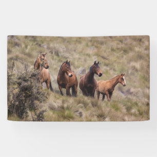 91 x 152 cm spandoek