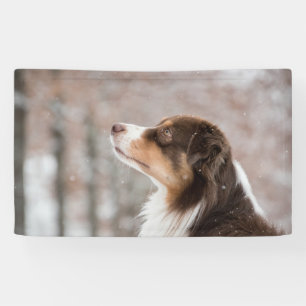 91 x 152 cm spandoek