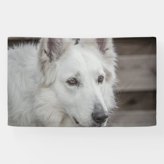 91 x 152 cm spandoek (Horizontaal)