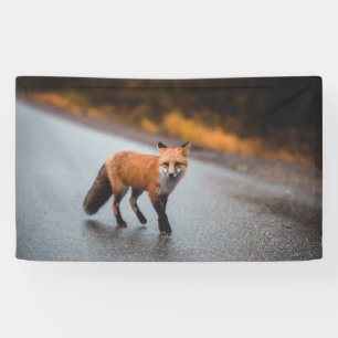 91 x 152 cm spandoek