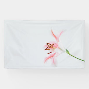 91 x 152 cm spandoek